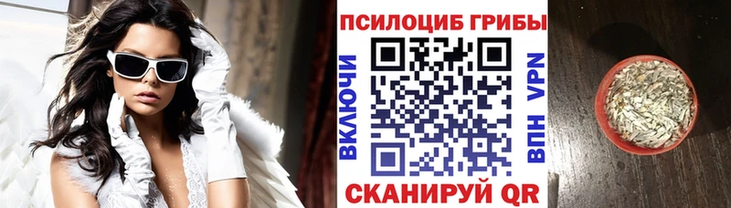 цены   Юхнов  KRAKEN вход  Псилоцибиновые грибы MAGIC MUSHROOMS 